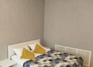 Однокомнатная квартира в аренду, 45 м2, Санкт-Петербург, Поварской переулок