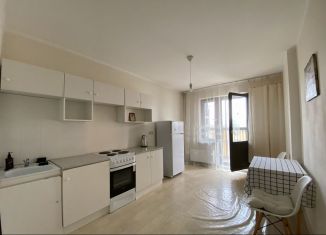 Сдам в аренду 2-комнатную квартиру, 60 м2, Москва, улица Вертолётчиков, 2, ЮВАО