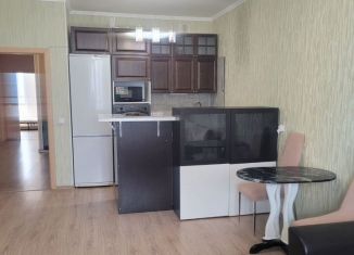 Продаю 2-ком. квартиру, 85.6 м2, Санкт-Петербург, улица Катерников, метро Проспект Ветеранов