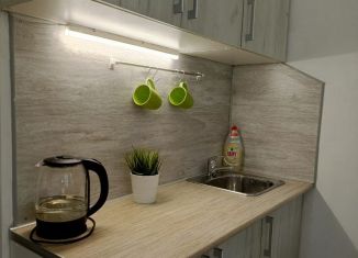 Квартира в аренду студия, 18 м2, Санкт-Петербург, Синопская набережная, 30Б