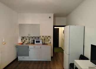 Продажа квартиры студии, 24.6 м2, Санкт-Петербург, Плесецкая улица, 20к1, муниципальный округ Коломяги