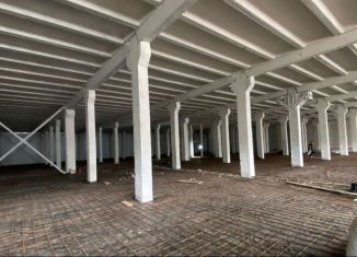 Сдам в аренду производство, 3492 м2, Новгородская область, Нехинская улица, 57