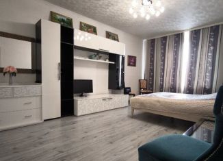 Продаю однокомнатную квартиру, 45 м2, Санкт-Петербург, улица Веденеева, 8к1, улица Веденеева