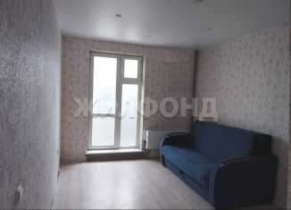 Продам квартиру студию, 20 м2, Новосибирск, улица Виктора Уса, 15, Кировский район