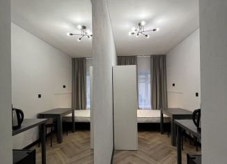 Сдача в аренду квартиры студии, 14 м2, Санкт-Петербург, Московский проспект, 45