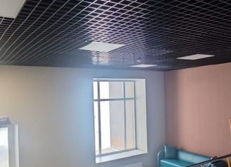 Продаю 1-комнатную квартиру, 53 м2, Оренбургская область, улица Неплюева, 2