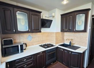 Сдам 2-комнатную квартиру, 60 м2, Санкт-Петербург, Гражданский проспект, 124к1, метро Девяткино