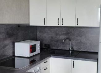 Сдам в аренду квартиру студию, 28 м2, Новосибирская область, улица Ватутина, 93/2