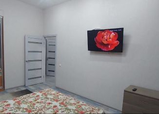 Аренда 1-ком. квартиры, 40 м2, Аксай, улица Речников, 16к1