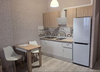 Сдаю в аренду квартиру студию, 28 м2, Санкт-Петербург, Выборгское шоссе, 27к3, метро Проспект Просвещения