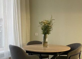 Сдам в аренду квартиру студию, 25 м2, Санкт-Петербург, улица Ивана Куликова, 4к2, метро Проспект Ветеранов