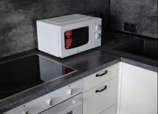 Сдаю квартиру студию, 28 м2, Новосибирская область, улица Ватутина, 93/2