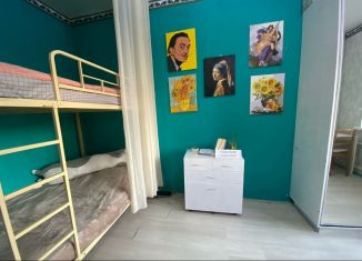 Сдам квартиру студию, 27 м2, Санкт-Петербург, улица Ушинского, Калининский район