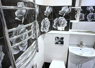 Продается квартира студия, 27 м2, посёлок городского типа Селятино, Клубная улица, 55