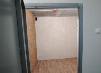 Сдаю в аренду гараж, 10 м2, Рязанская область, Шереметьевская улица, 10к3