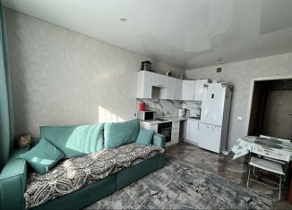Продам 1-ком. квартиру, 40 м2, Новосибирск, улица Серафимовича, 20, метро Площадь Маркса