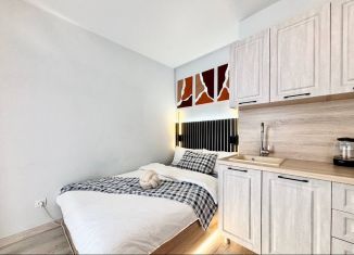 Сдаю квартиру студию, 30.2 м2, Екатеринбург, улица Печатников, 1