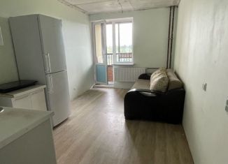 Сдаю квартиру студию, 22 м2, Всеволожск, шоссе Дорога Жизни, 7к1