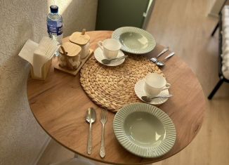 Сдается квартира студия, 23 м2, Екатеринбург, улица Лыжников, 3
