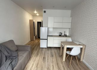 Сдается квартира студия, 23.4 м2, Краснодар, микрорайон Черемушки, Обрывная улица, 132/1к4