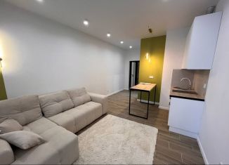 Продаю квартиру студию, 28 м2, Ростов-на-Дону, Привокзальная улица, 3/1