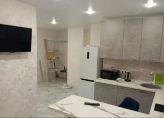 Сдаю в аренду 1-комнатную квартиру, 34 м2, деревня Глухово, Романовская улица, 17