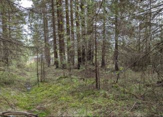 Участок на продажу, 13 сот., деревня Турлавы