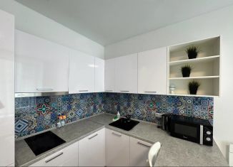 Продаю квартиру студию, 23.5 м2, Екатеринбург, улица Малышева, 42А, Ленинский район