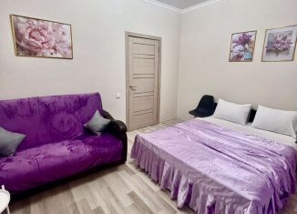 Сдача в аренду 2-ком. квартиры, 50 м2, Новосибирск, улица Ясный Берег, 5