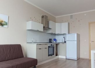 1-ком. квартира в аренду, 38 м2, посёлок Парголово, Заречная улица, 15к1