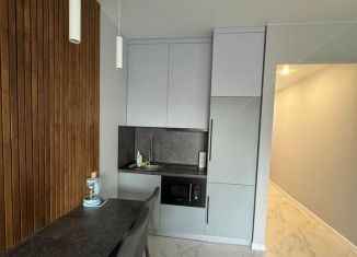 Сдам в аренду 1-комнатную квартиру, 34 м2, Екатеринбург, улица Радищева, 41