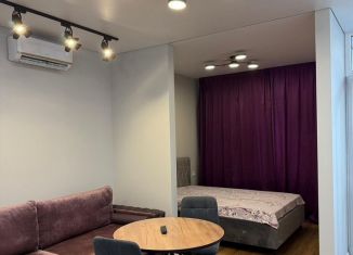 Сдается в аренду 1-комнатная квартира, 35 м2, Ростов-на-Дону, Привокзальная улица, 3/1