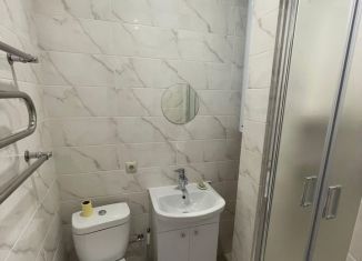 Сдается в аренду 1-ком. квартира, 22 м2, Краснодар, Ставропольская улица, 124/1, микрорайон Дубинка