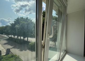 Продажа однокомнатной квартиры, 18.5 м2, Йошкар-Ола, улица Прохорова, 14, 9-й микрорайон