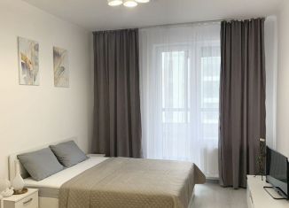 Продам квартиру студию, 24.6 м2, Санкт-Петербург, метро Комендантский проспект, Арцеуловская аллея