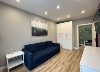 Сдается однокомнатная квартира, 35.1 м2, Санкт-Петербург, Суздальское шоссе, 22к4, ЖК Новоорловский