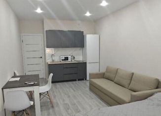 Сдается квартира студия, 30 м2, Краснодар, Ярославская улица, 115к1, микрорайон 9 километр