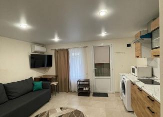 Сдается в аренду квартира студия, 25 м2, Сириус, Приреченская улица, 1