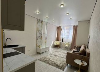 Продажа квартиры студии, 27.4 м2, Краснодар, Прикубанский округ, Черкасская улица, 129/1