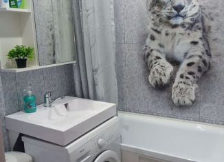 Однокомнатная квартира в аренду, 31 м2, Нижегородская область, проспект Дзержинского, 56