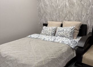 Однокомнатная квартира в аренду, 45 м2, Йошкар-Ола, улица Чернякова, 3А, микрорайон 9Б