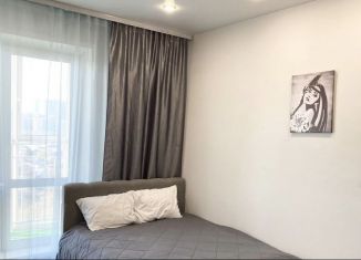 Квартира в аренду студия, 22 м2, Новосибирская область, улица Ватутина, 93/2