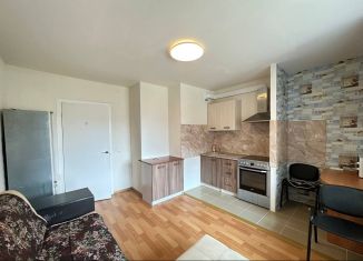 Сдача в аренду квартиры студии, 21.4 м2, Мурино, улица Шоссе в Лаврики, 59к1