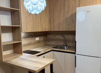 Продаю квартиру студию, 30 м2, Ростов-на-Дону, Горсоветская улица, 49с1, ЖК Свобода