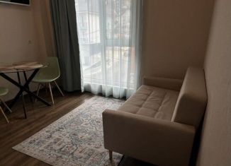 Однокомнатная квартира в аренду, 27 м2, Сочи, Молодогвардейская улица, микрорайон Соболевка