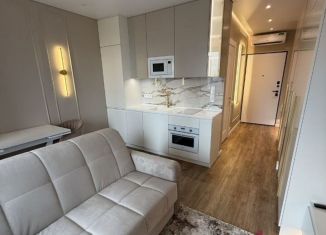 Продаю квартиру студию, 25 м2, Москва, Волгоградский проспект, 32/5к2, метро Дубровка