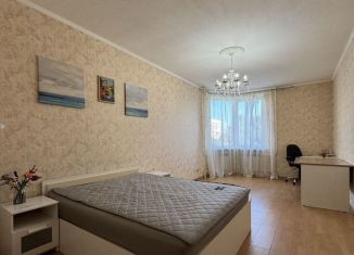 Продажа 1-ком. квартиры, 50.9 м2, Санкт-Петербург, улица Подвойского, 13к2, метро Ладожская
