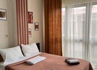 Квартира в аренду студия, 25 м2, Сочи, Каспийская улица, 46/8А, микрорайон Верхнеимеретинская Бухта