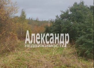 Участок на продажу, 24 сот., поселок Оредеж, улица Сазанова