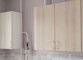 Сдается 1-комнатная квартира, 30 м2, Йошкар-Ола, улица Ольги Тихомировой, 59, 10-й микрорайон